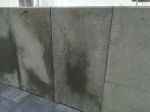 IMG_20180925_132451.jpg