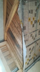 IMG_20180926_175118.jpg