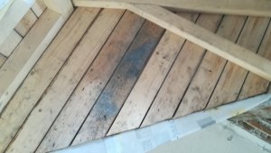 IMG_20180926_175108.jpg