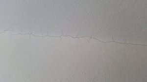 20180930_125447.jpg