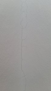 20180930_130214.jpg