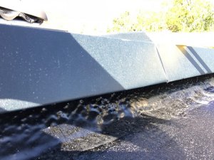 IMG_1372.jpg