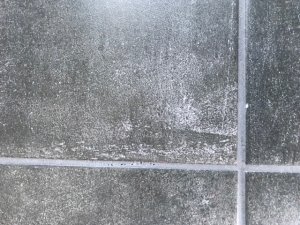 IMG_1412.jpg