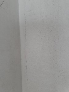 20181006_101829.jpg