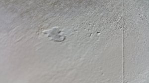 20181008_171619.jpg