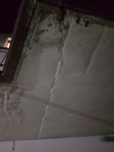 20181017_204941.jpg