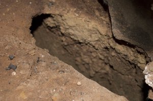 Auweia (1 von 6).jpg