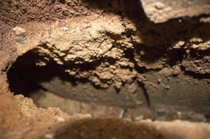 Auweia (2 von 6).jpg