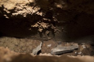 Auweia (3 von 6).jpg