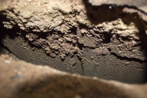 Auweia (4 von 6).jpg