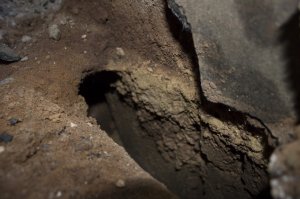 Auweia (5 von 6).jpg