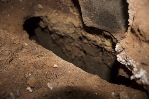 Auweia (6 von 6).jpg