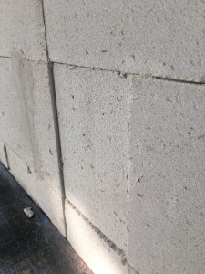 6AF30285-DF5D-4B2A-AB98-EC58B472CF9D.jpeg