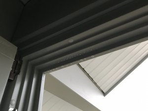 IMG_4158.JPG