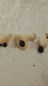 IMG_20181023_220544.jpg