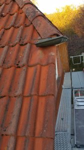 20181103_160506 Kopie.jpg