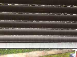 Fenster 752.JPG