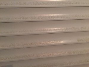 Fenster Kind 03.11.18.jpg