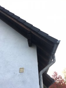IMG_7218.JPG
