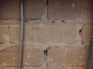 20181104_101120.jpg