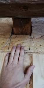 IMG_20181104_142655.jpg