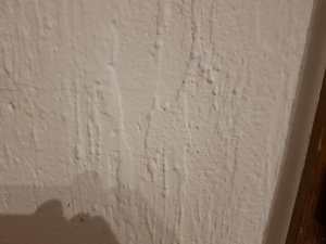 TW Wohnzimmer.jpg