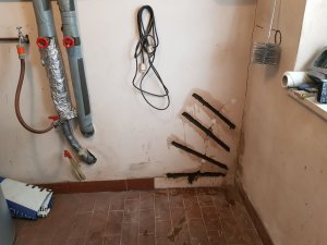 Sanierter Riss  Keller Wand zu Küche EW.jpg