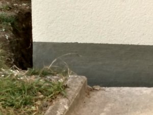 Bild 2 (Wunschfarbe).jpg