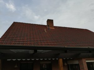 IMG_20181111_143236.jpg
