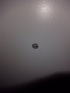 IMG_20181113_073512117.jpg