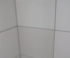 050.JPG