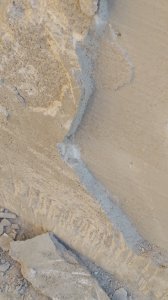 20181117_150450.jpg