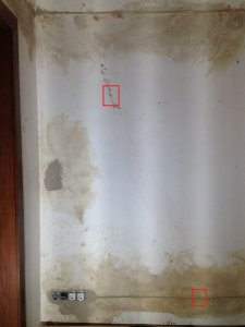 IMG_2988_Wand_rechts.JPG