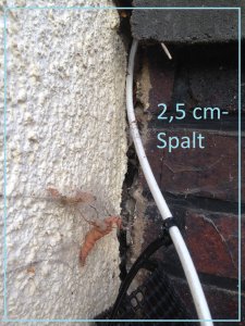 IMG_3005_Süd_aussen_mit_Terasse_Det2.JPG