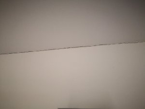 IMG_20181124_082825.jpg