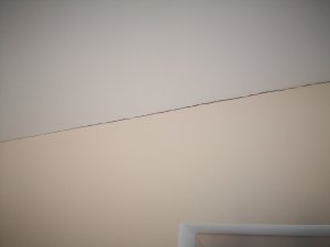 IMG_20181124_111811.jpg