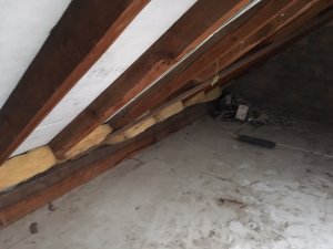 IMG_3174.JPG