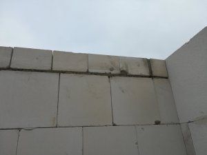 IMG_20181125_133852.jpg