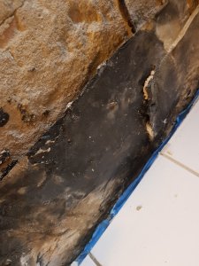 20181204_115318.jpg