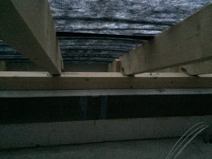 IMG_5039.JPG