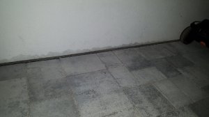 20171223_111240.jpg