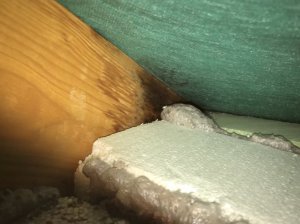 6752EDBB-B679-4232-AC88-B9B1E67E8E5F.jpeg