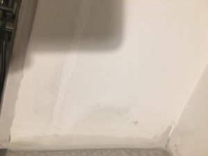 D79B7CBA-6C1A-42B3-952C-61408117929C.jpeg