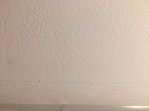 B351E833-5216-42F2-B63F-71877C76E96E.jpeg