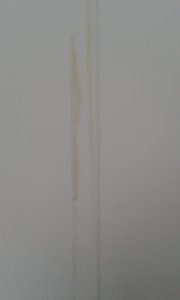 20181217_095922.jpg