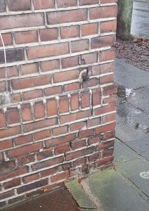 20181223_124910.jpg