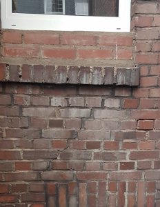 20181223_125059.jpg