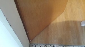 20190114_160406.jpg