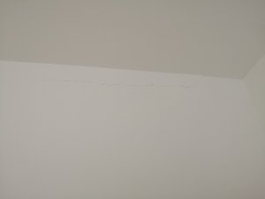 IMG_20190120_115350.jpg