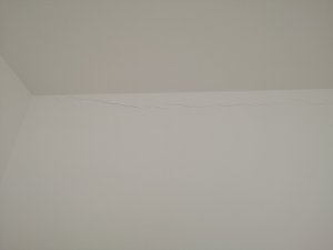 IMG_20190120_115326.jpg